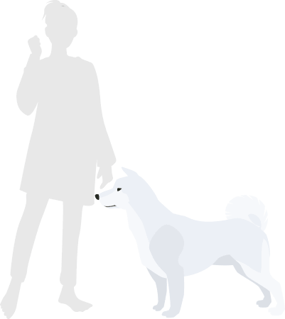犬と北海道犬の比較