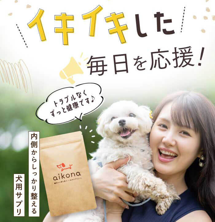 愛犬用サプリ あいこな Aikona の口コミ 評判は 愛犬に腸内サプリがおすすめ ドッグナビ