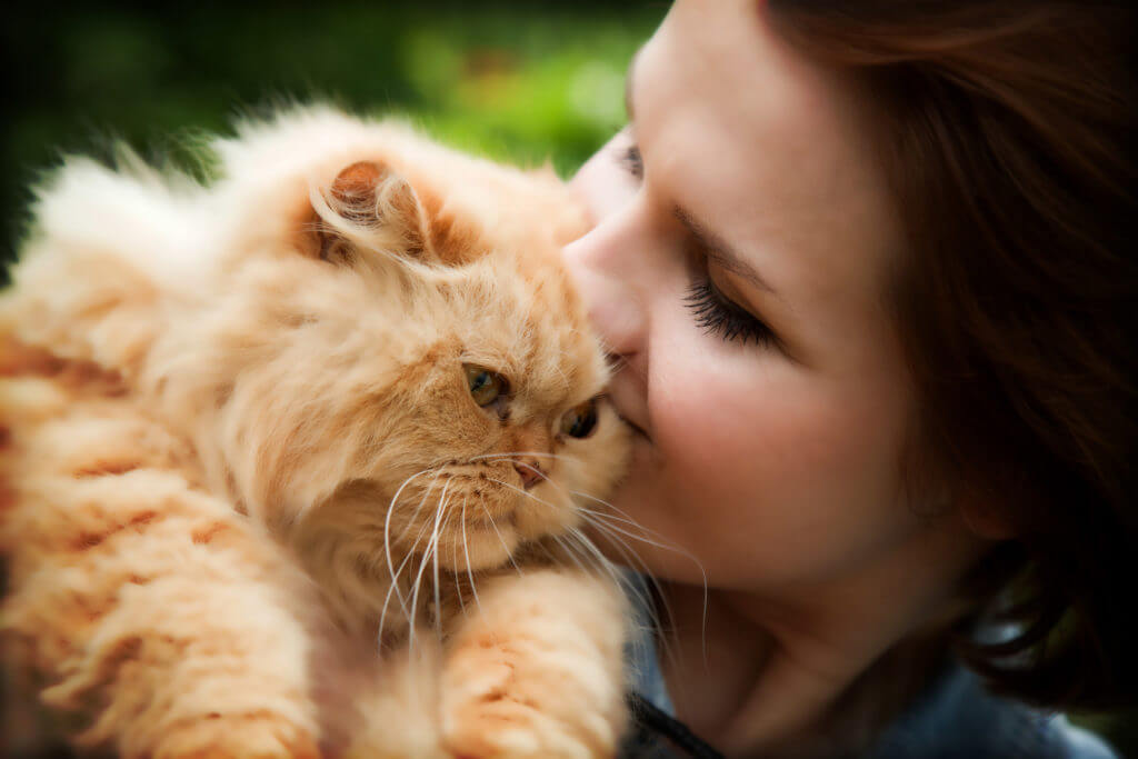 ペルシャ猫にキスする女性