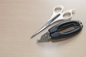 ハサミと爪切り