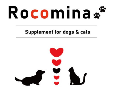 ロコミナの犬と猫